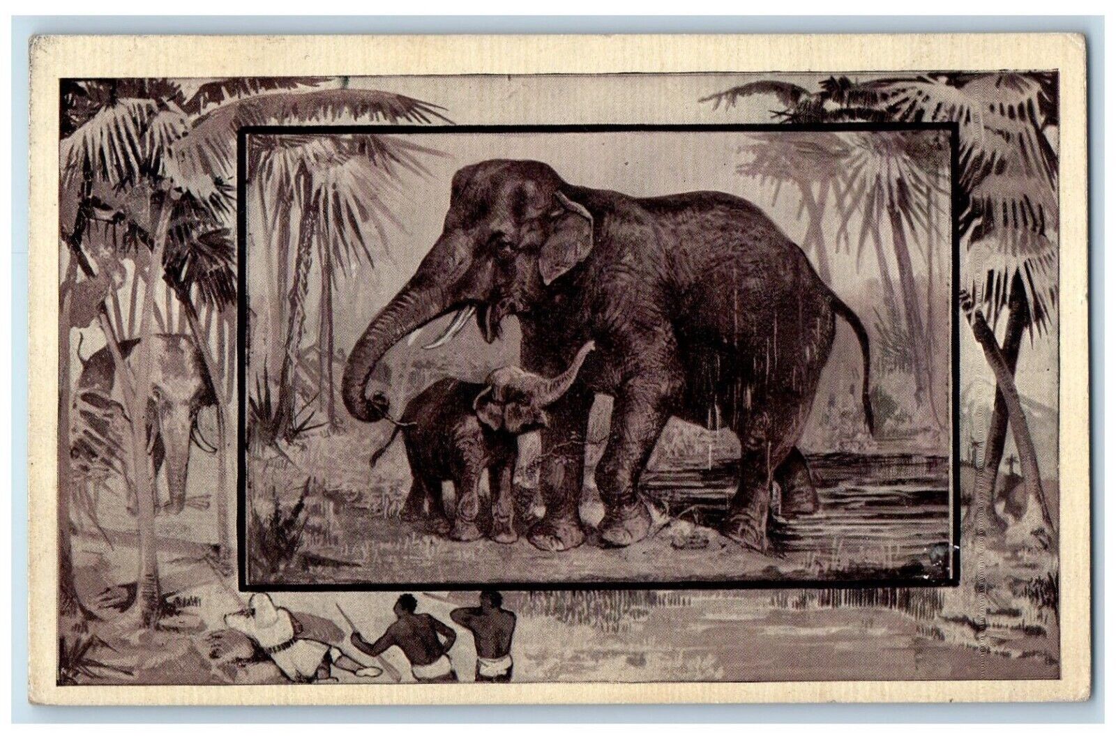 1909 Elephant Wild Animals Hunting Fowler Indiana IN Posted Antique Postcard