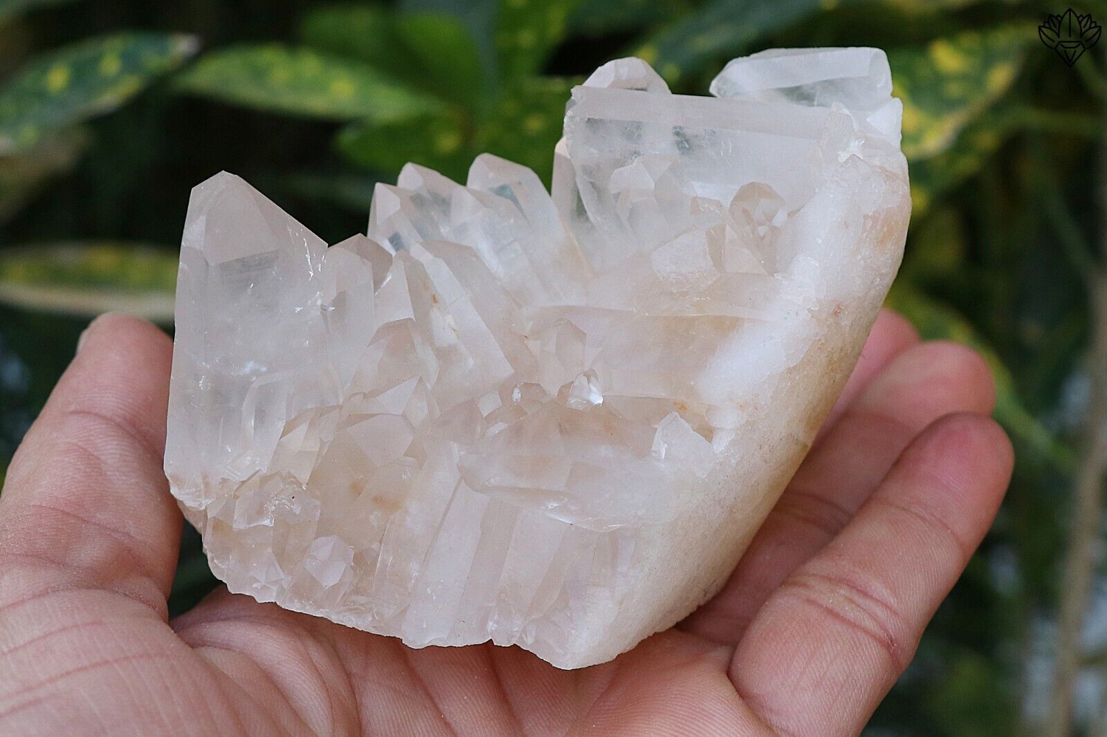 Healing Pointed Natural White Himalayan Samadhi quartz 502 gm Rough raw Specimen