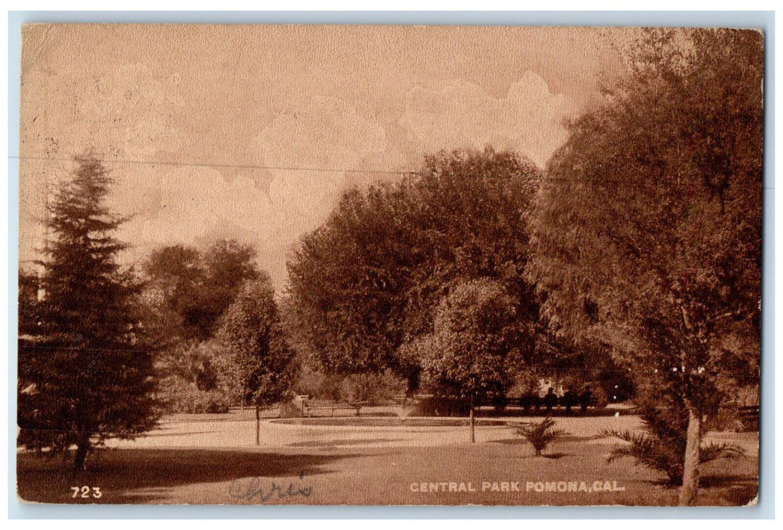 1917 Central Park Garden Trees Scene Pomona California CA Antique Postcard