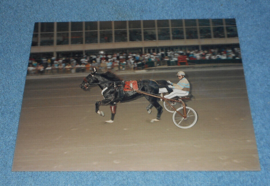 1991 Harness Racing Photo Horse 