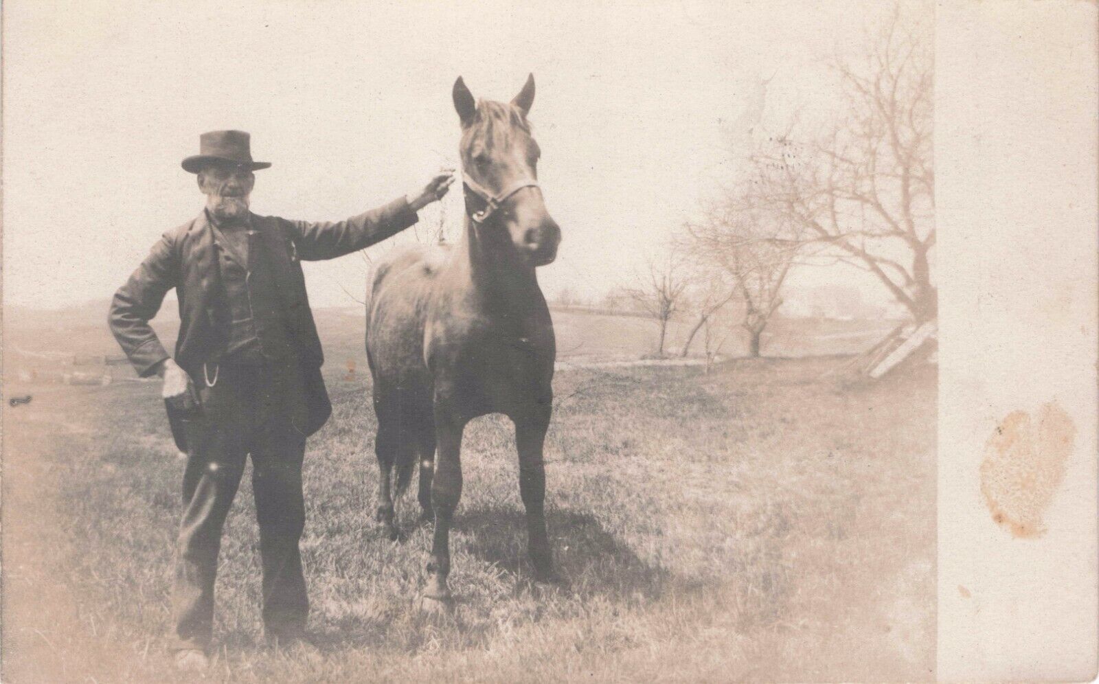 RPPC Bearded Man in Suit & Hat with Horse in Pasture Real Photo Postcard ca 1906