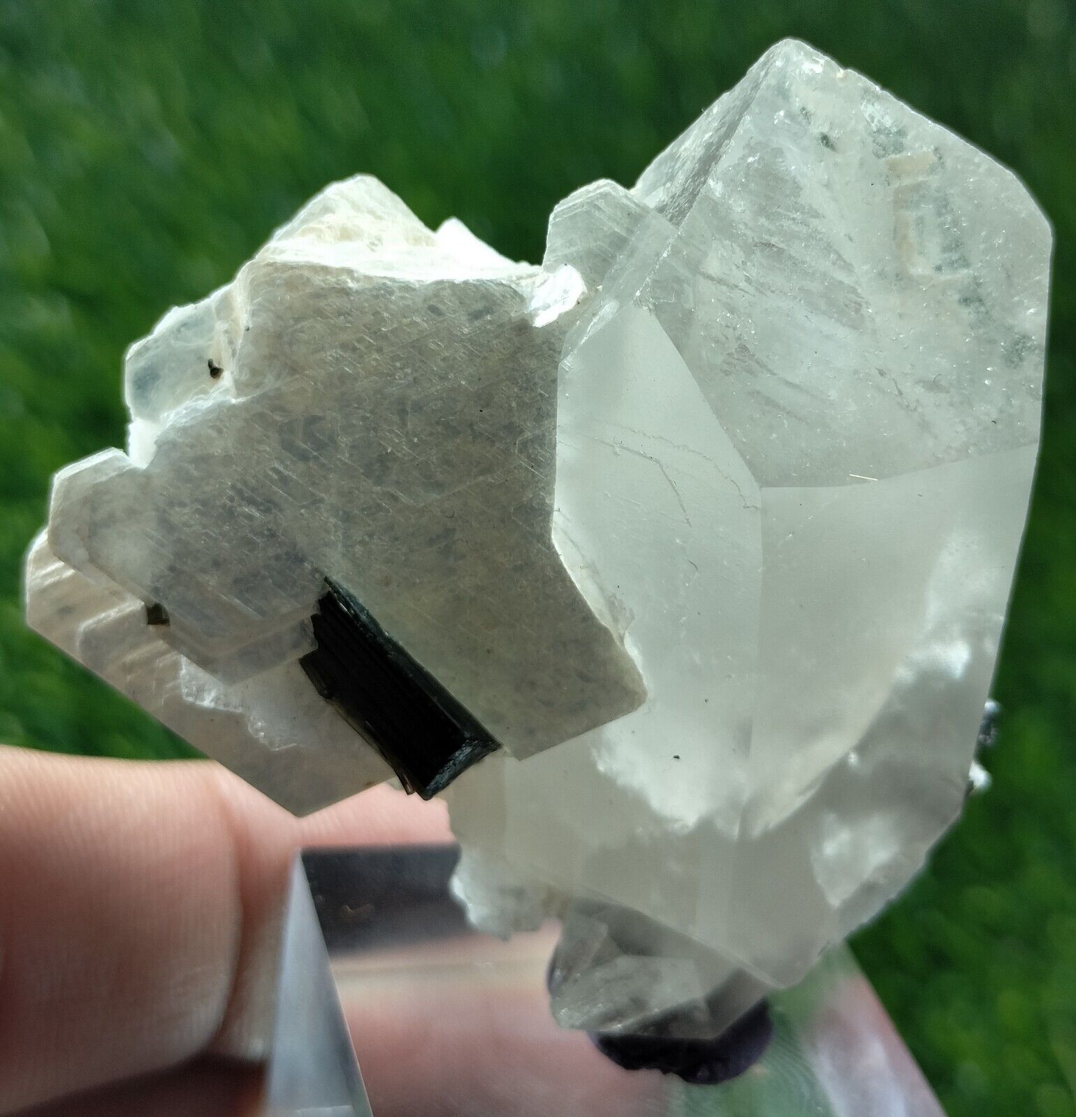 Black Tourmaline crystals combine with Quartz crystal & mica beautiful specimen.