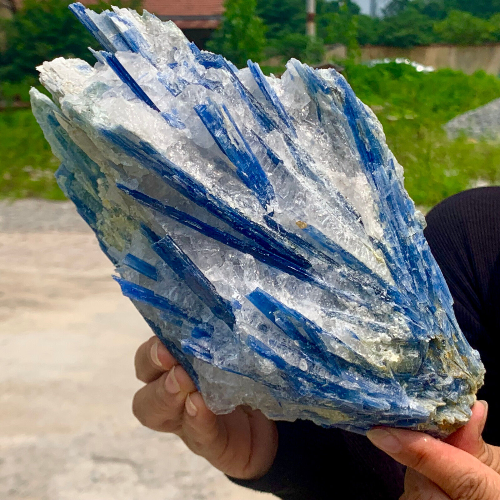 4.93LB Rare Natural beautiful Blue KYANITE with Quartz Crystal Specimen Rough