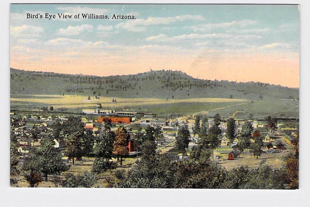 PPC Postcard AZ Arizona Bird\'s Eye View Williams Nice Old Antique Card