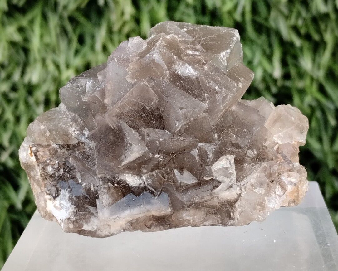 230 CT Natural Fluorite Cubic Mineral Specimen From Pakistan