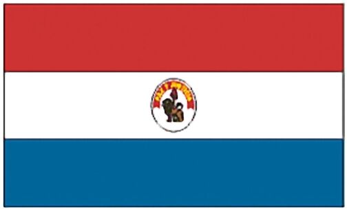 Large 3\' x 5\' High Quality 100% Polyester Paraguay Flag - 