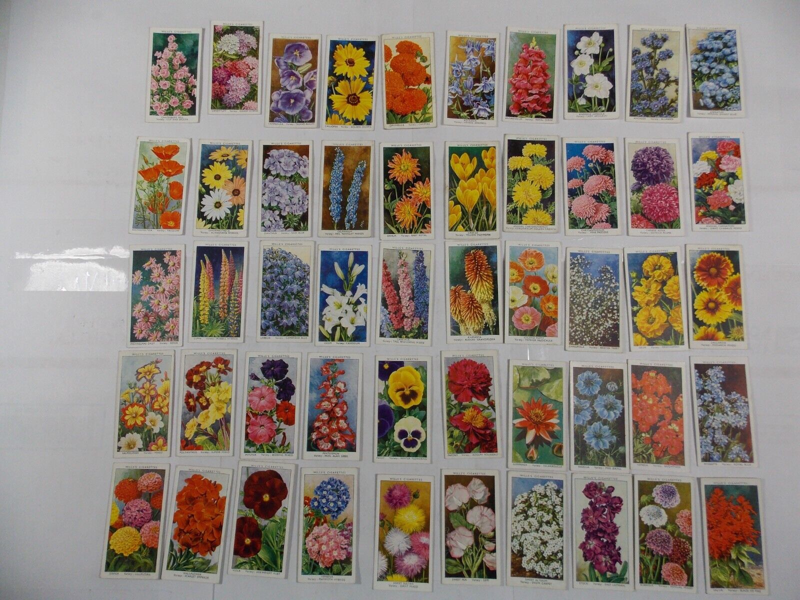 Wills Cigarette Cards Garden Flowers 1939 Complete Set 50
