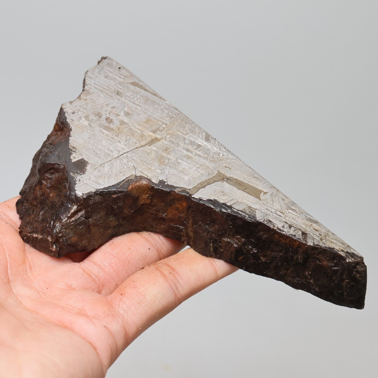 431g  Muonionalusta meteorite part slice C6847