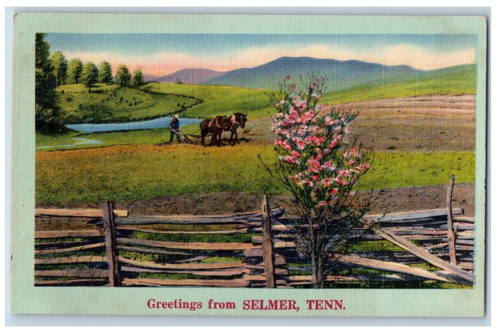 Selmer Tennessee Postcard Greetings  Horse Farm Field Exterior View 1940 Vintage