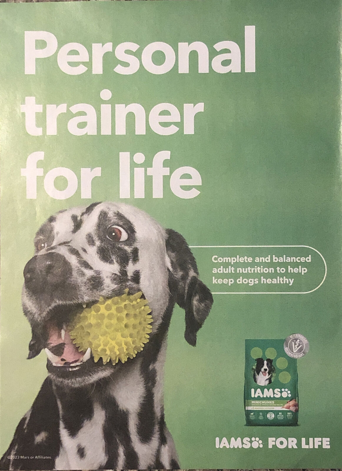 PRINT AD 2023 Iams Dog Food Complete Balance Dalmatian Personal Trainer For Life