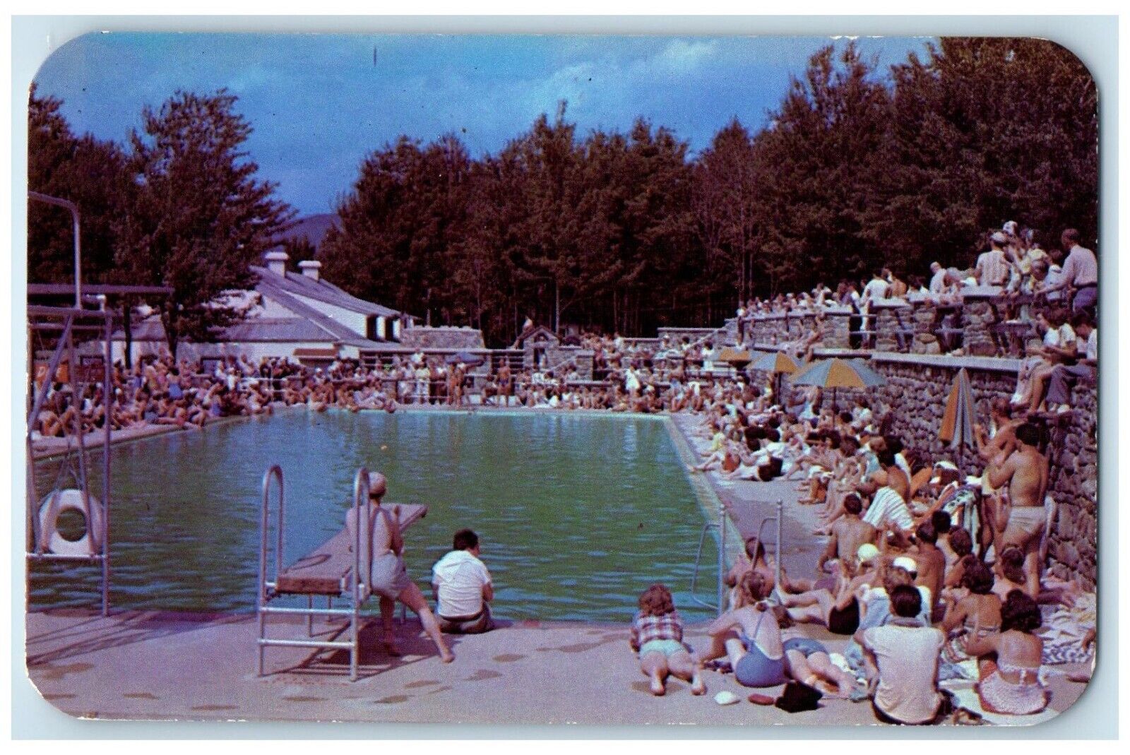 c1960 Water Sports Sugar Maples Pool Maplecrest Catskills Wisconsin WI Postcard