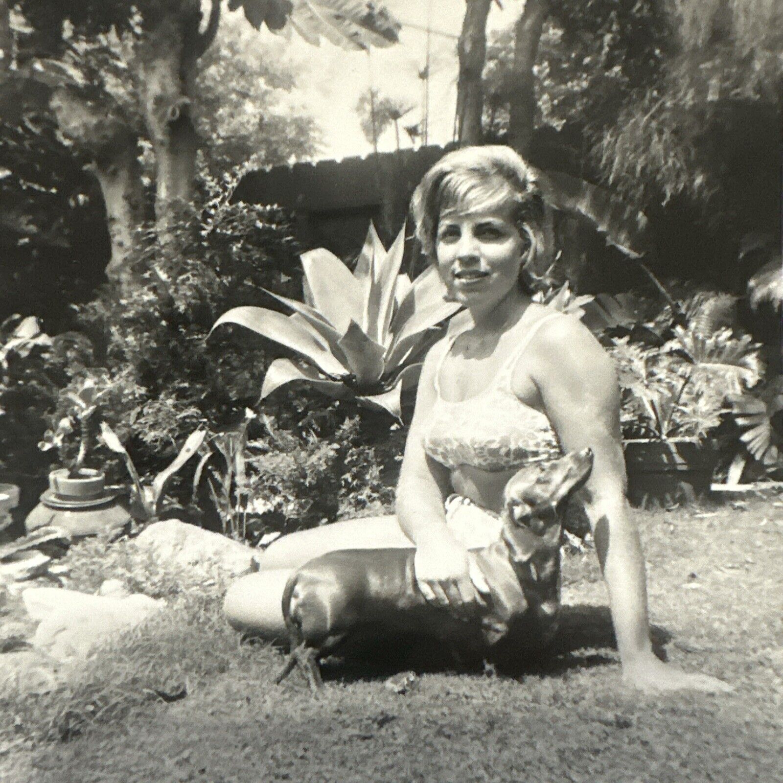 VINTAGE PHOTO 1963 Sexy Blonde Woman Holding Dachshund Dog Revealing Bikini