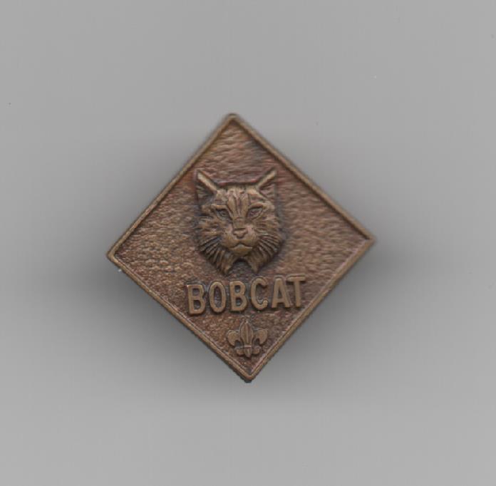 3rd Issue Bobcat Pin, Square Diamond Shape (1972 +), Clutch Pin Fastener  