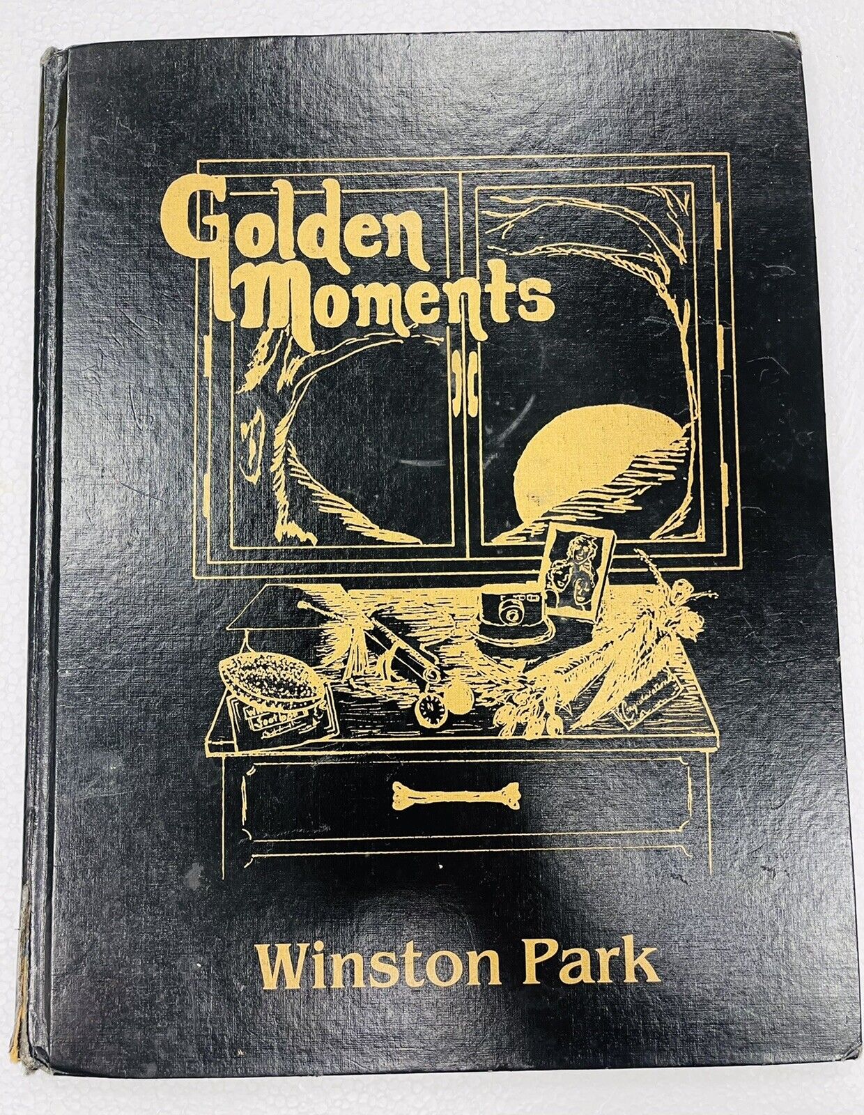 1994 WINSTON PARK PALATINE ILLINOIS JUNIOR HIGH SCHOOL YEARBOOK GOLDEN MOMENTS