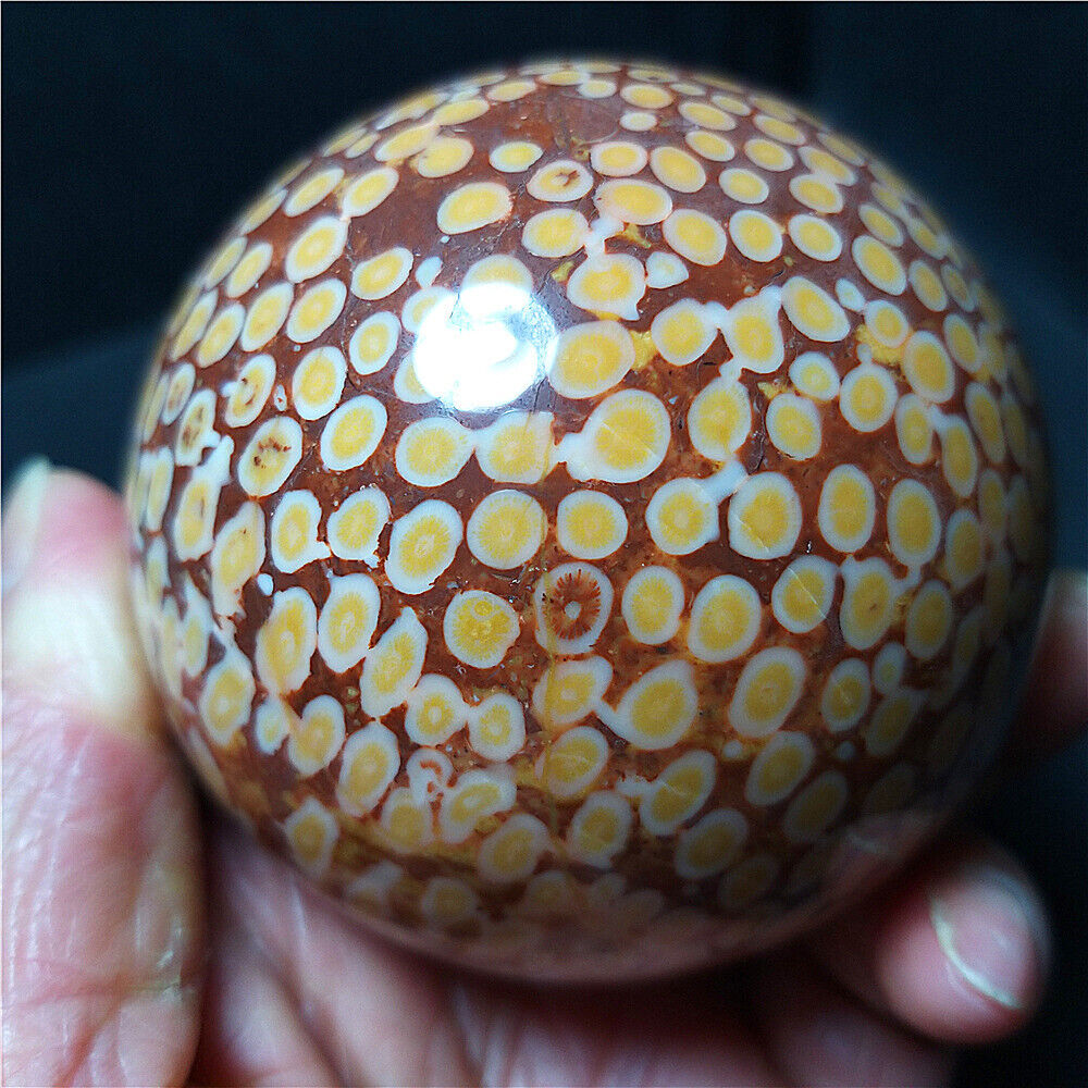RARE 452.5G Natural Polished coral jade Agate Crystal Sphere Ball Healing B317