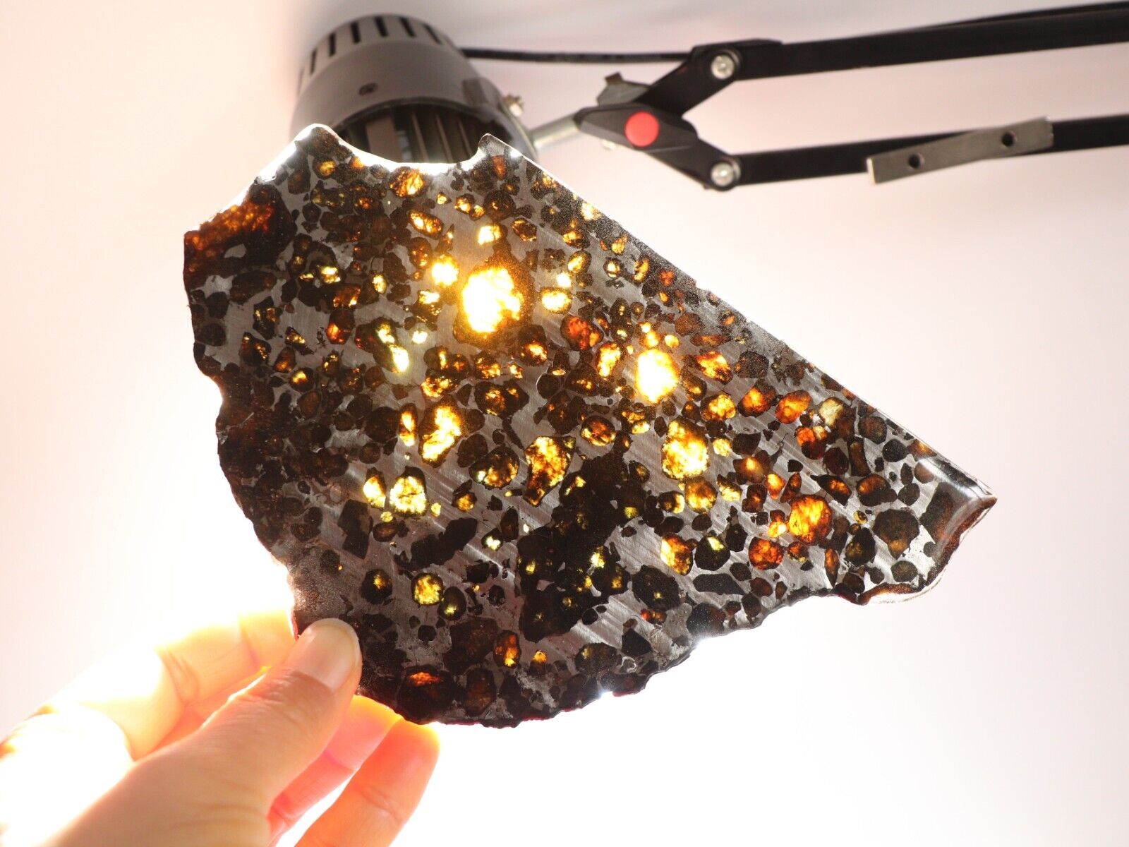 213g Slice meteorites, Rare slices of Kenyan Pallasite olive meteorite B3010