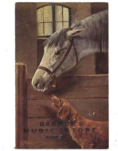 c.1900s Barney’s Music Store Horse Newport Rhode Island RI Advertising Postcard