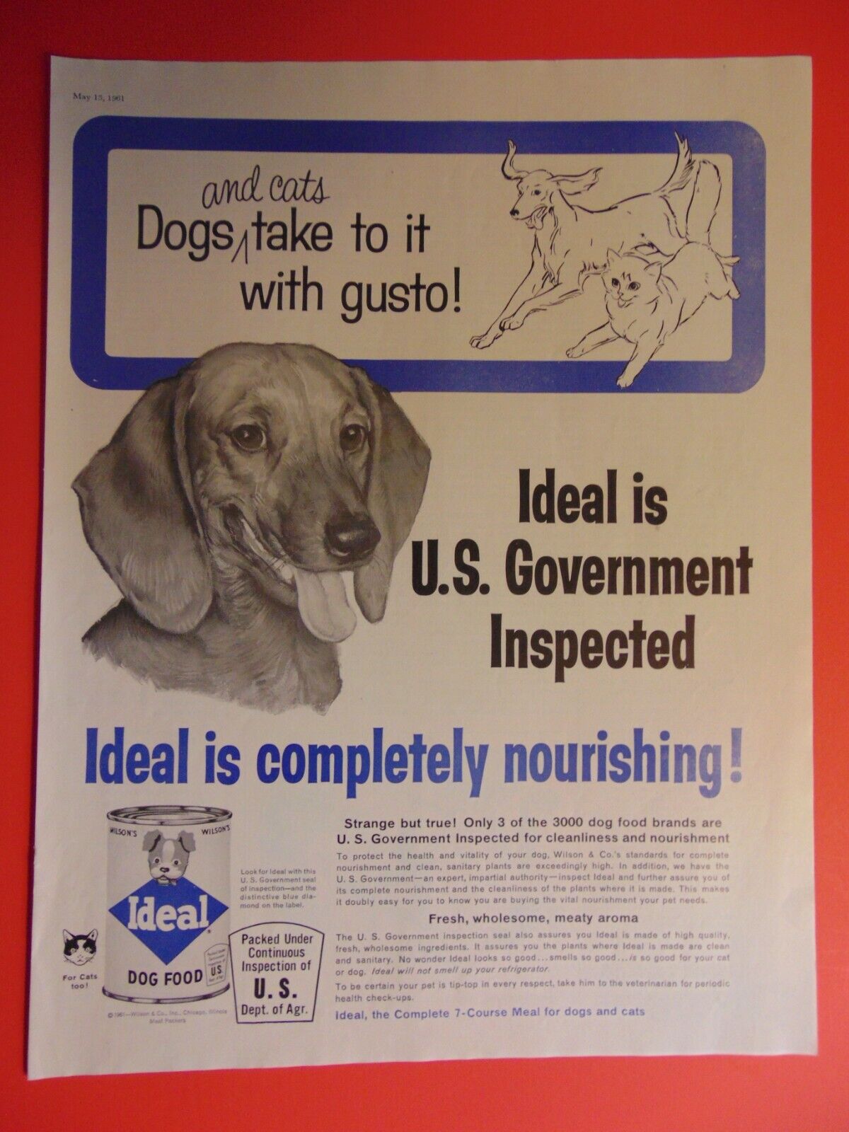 1961 IDEAL DOG FOOD Dogs take to it with gusto photo print ad