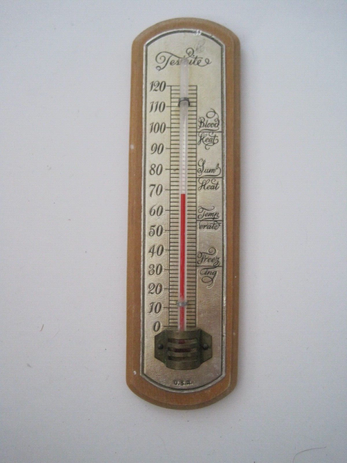 Vintage Testrite Thermometer