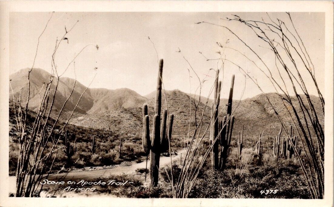 Vintage Real Photo Postcard- Scene on Apache Trail- Arizona unposted 1939