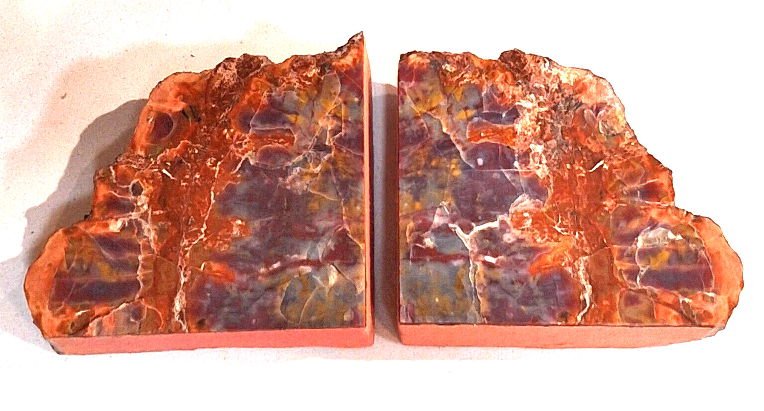 Arizona Rainbow Petrified Wood Bookends Book Matched & Polished 14.5\