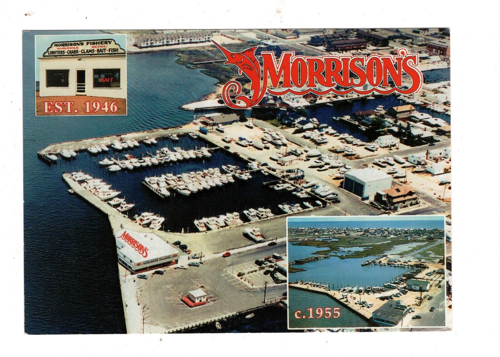 Beach Haven, New Jersey  Morrison\'s Restaurant & Marina  Aerial View