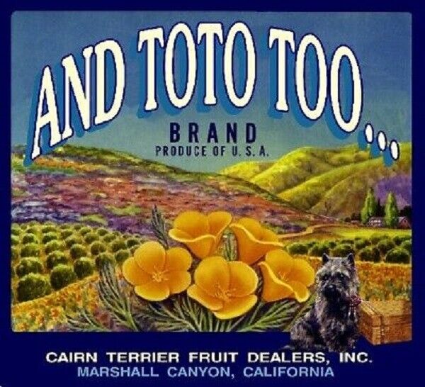 And Toto Too Orange Fruit Crate Label Marshall Canyon California Retro Art Print