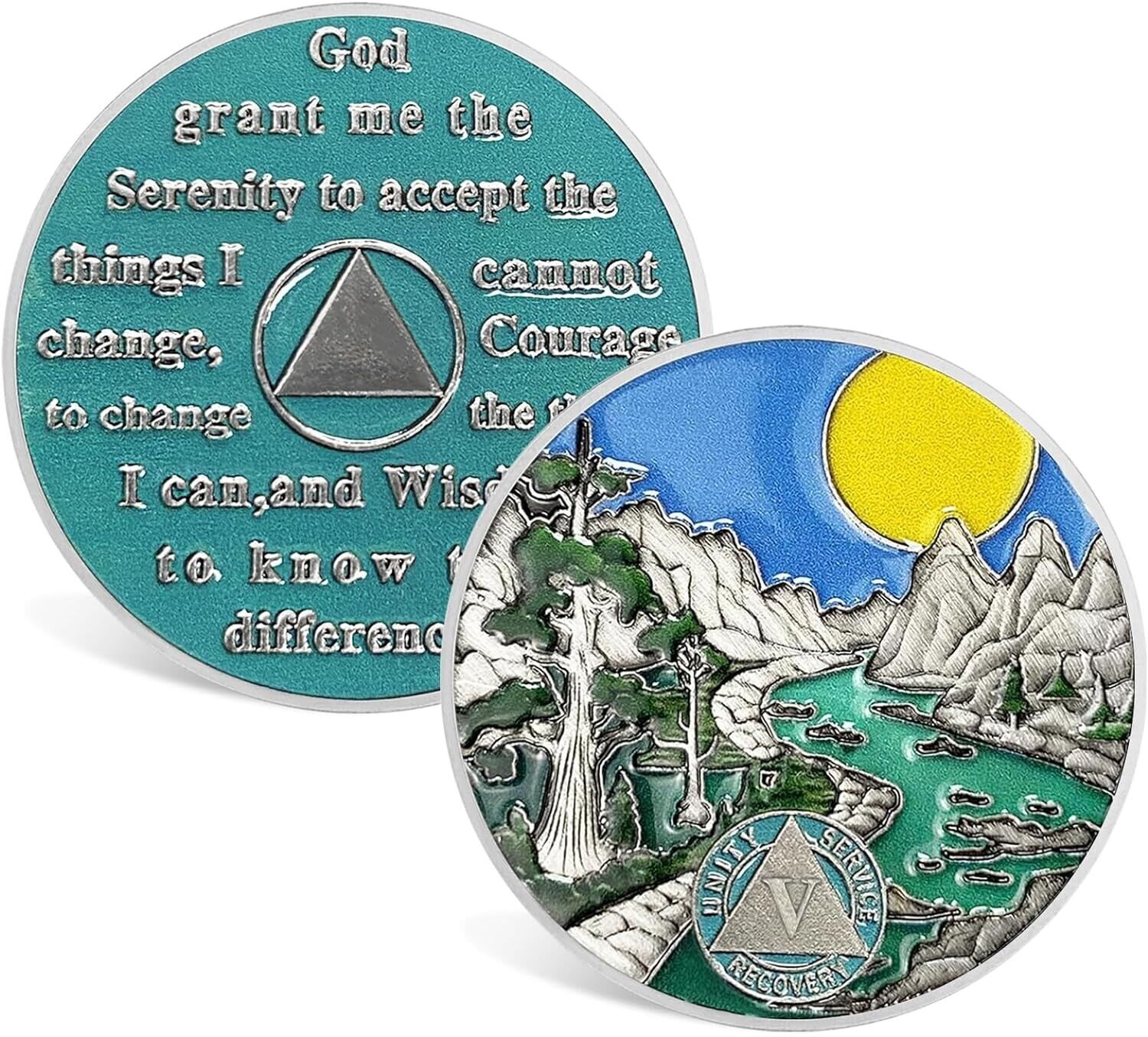 5 Year Sobriety Chip Five Year Sober Coin Achievement Medallions Sobriety Gifts