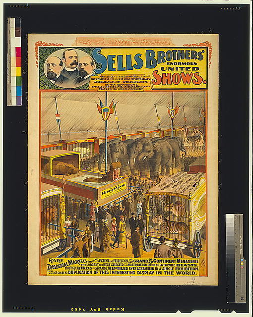 Sells Brothers\' enormous united shows,Rare zoological marvels,c1895,Circus