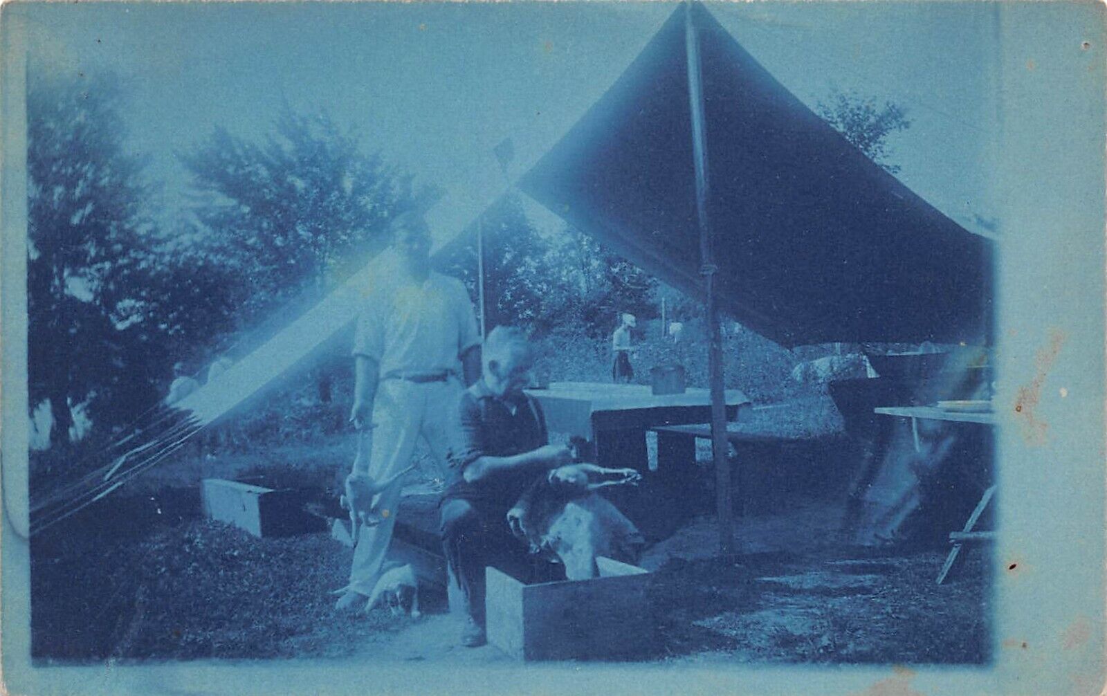 Cyanotype Man Cleaning Chickens Outside Tent c1910 Postcard