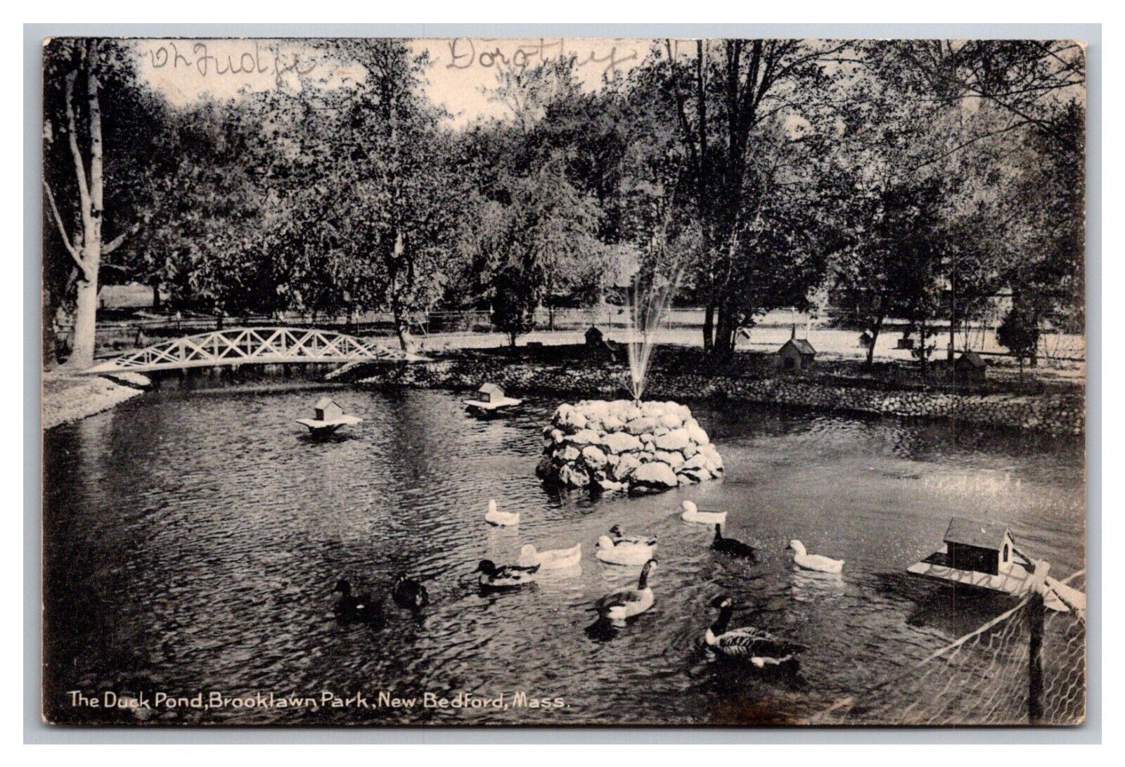Postcard New Bedford Massachusetts Brooklawn Park Duck Pond