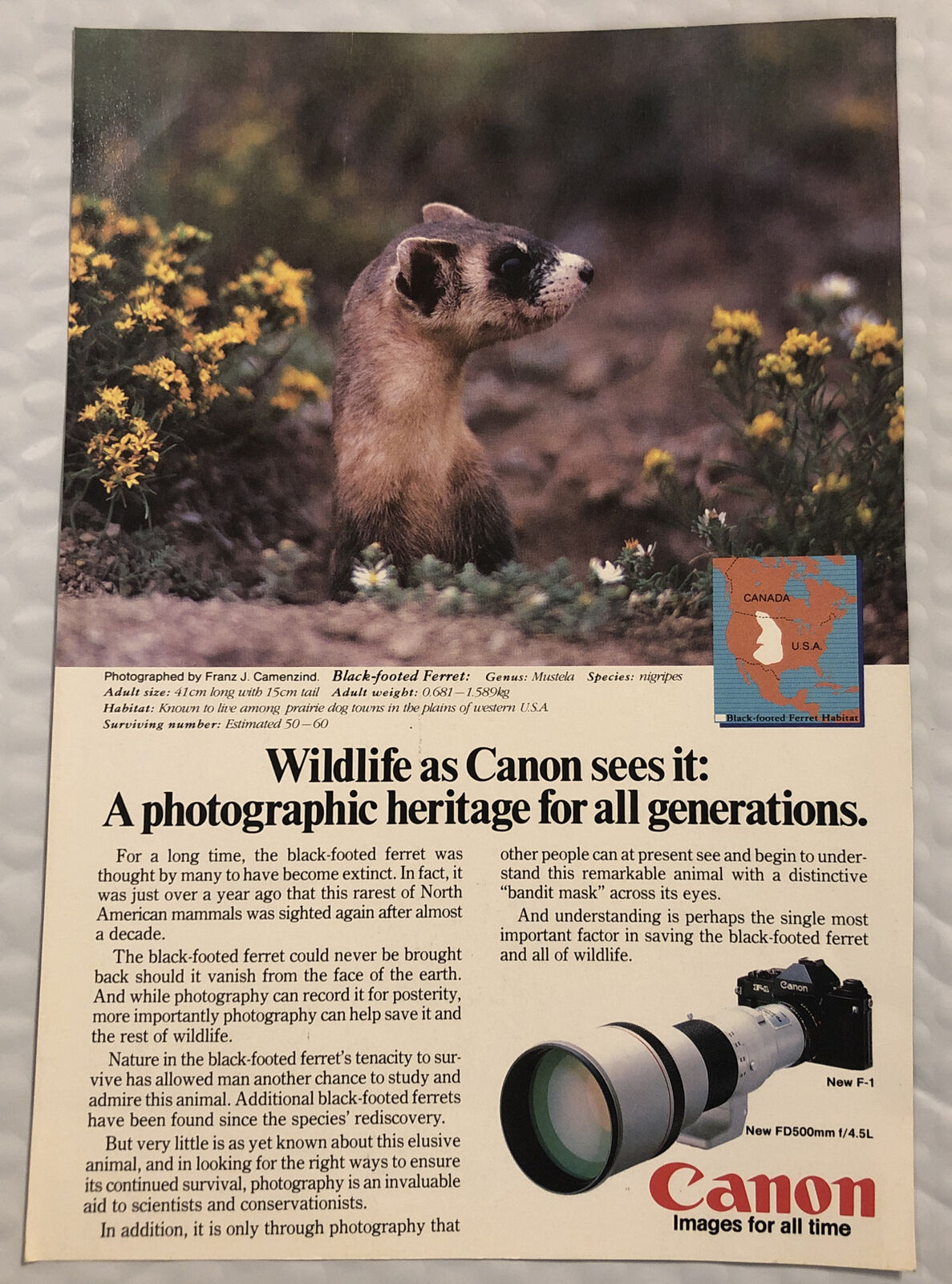 Vintage 1983 Canon Cameras Original Print Ad Full Page - For All Generations