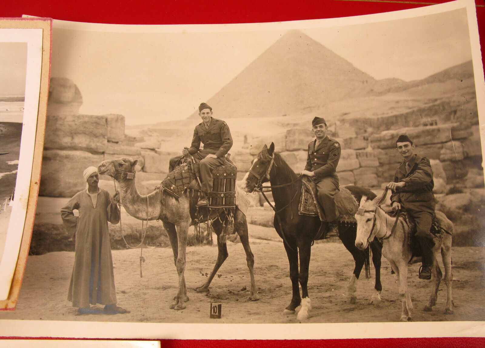 1944 WWII CAIRO ARMY PHOTOS SOLDIERS AIRPORT CAMELS EQYPT PYRAMID DONKEY SPHYNX