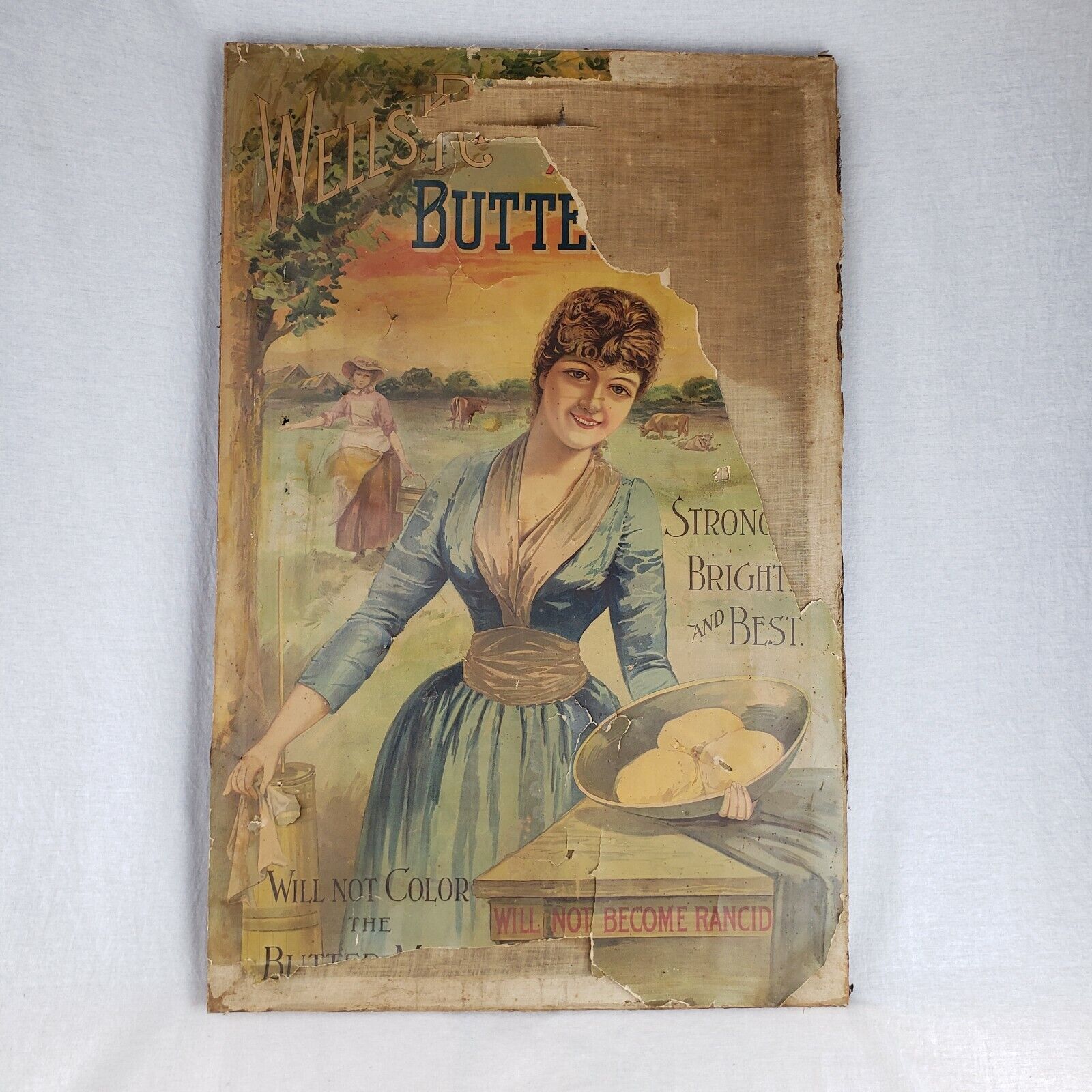 Rare Antique Wells Richardson & Co Improved Butter Color Advertising Litho Sign