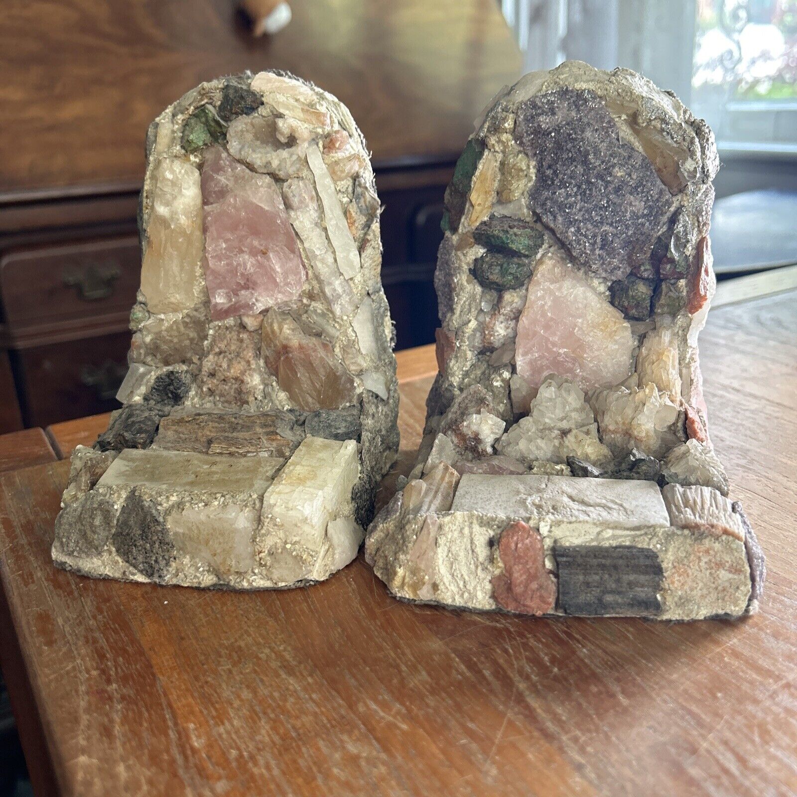 Rare Bookends Petrified Woods Natl Park Pair polished Crystals Rocks