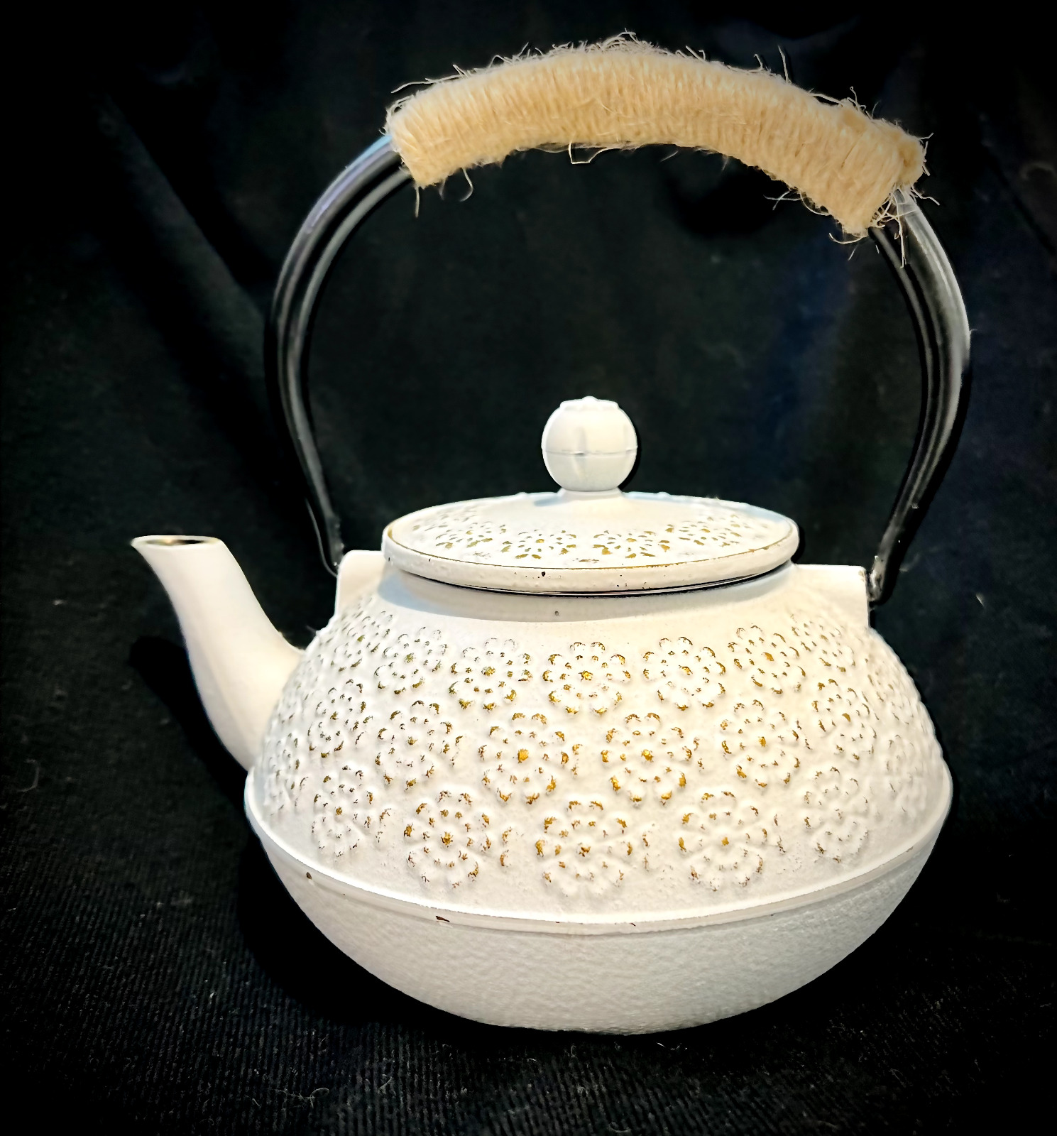 Cast Iron Teapot Sotya Tetsubin Japanese Tea Kettle 900ml White
