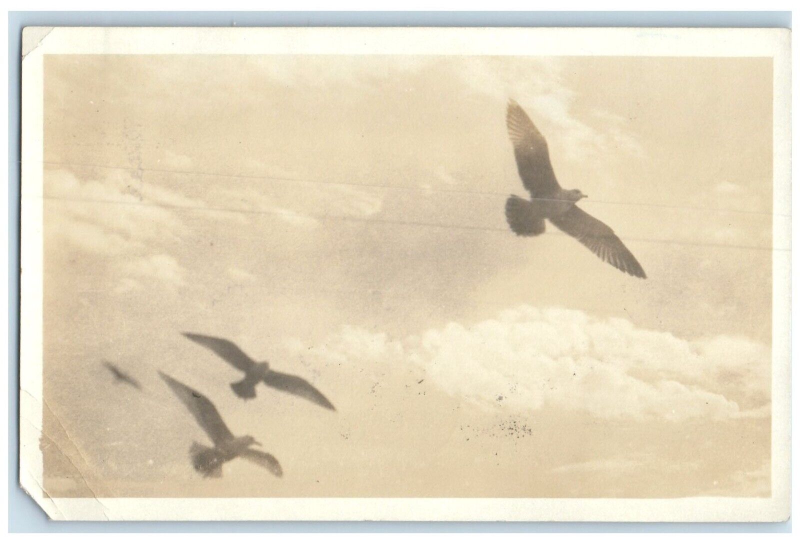 1922 Doves Clouds Scene Carmel CA RPPC Photo Posted Vintage Postcard