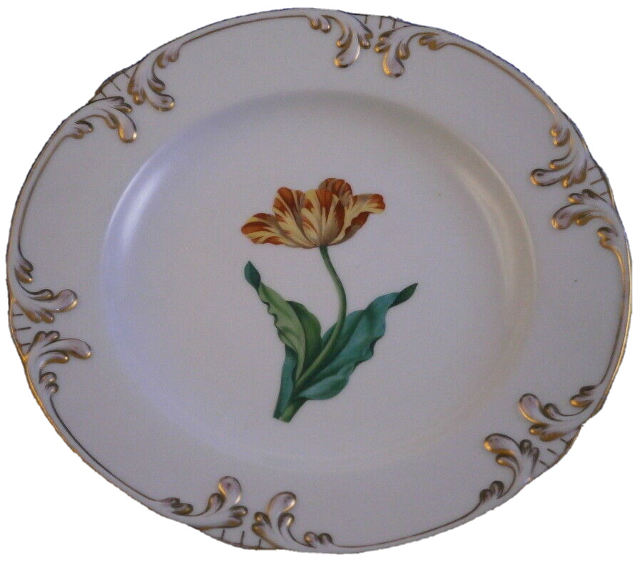 Antique Mid 19thC Schlaggenwald Porcelain Floral Plate Porzellan Teller German D