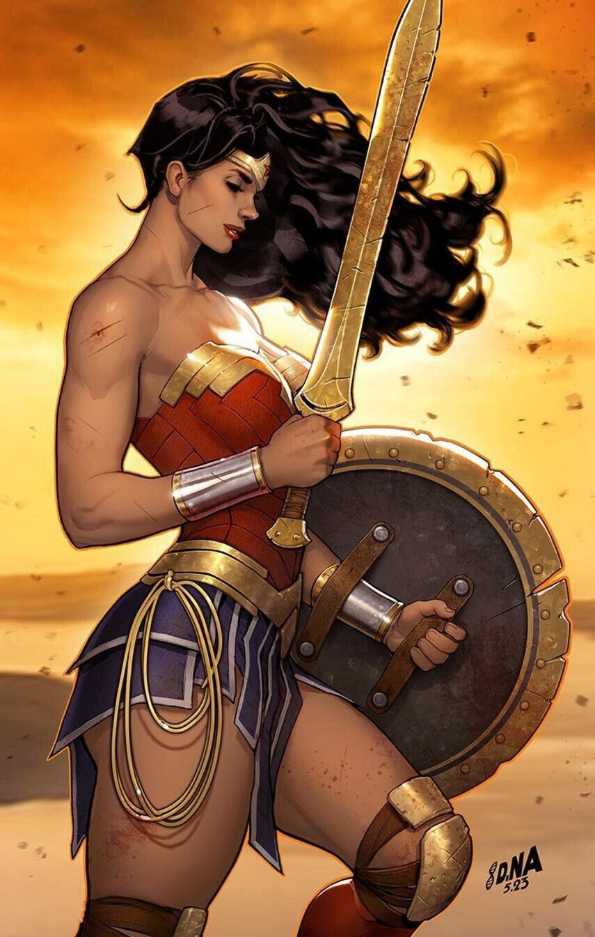 Wonder Woman 11x17 Bruce Wayne POSTER DCU DC Comics Superman Catwoman Diana