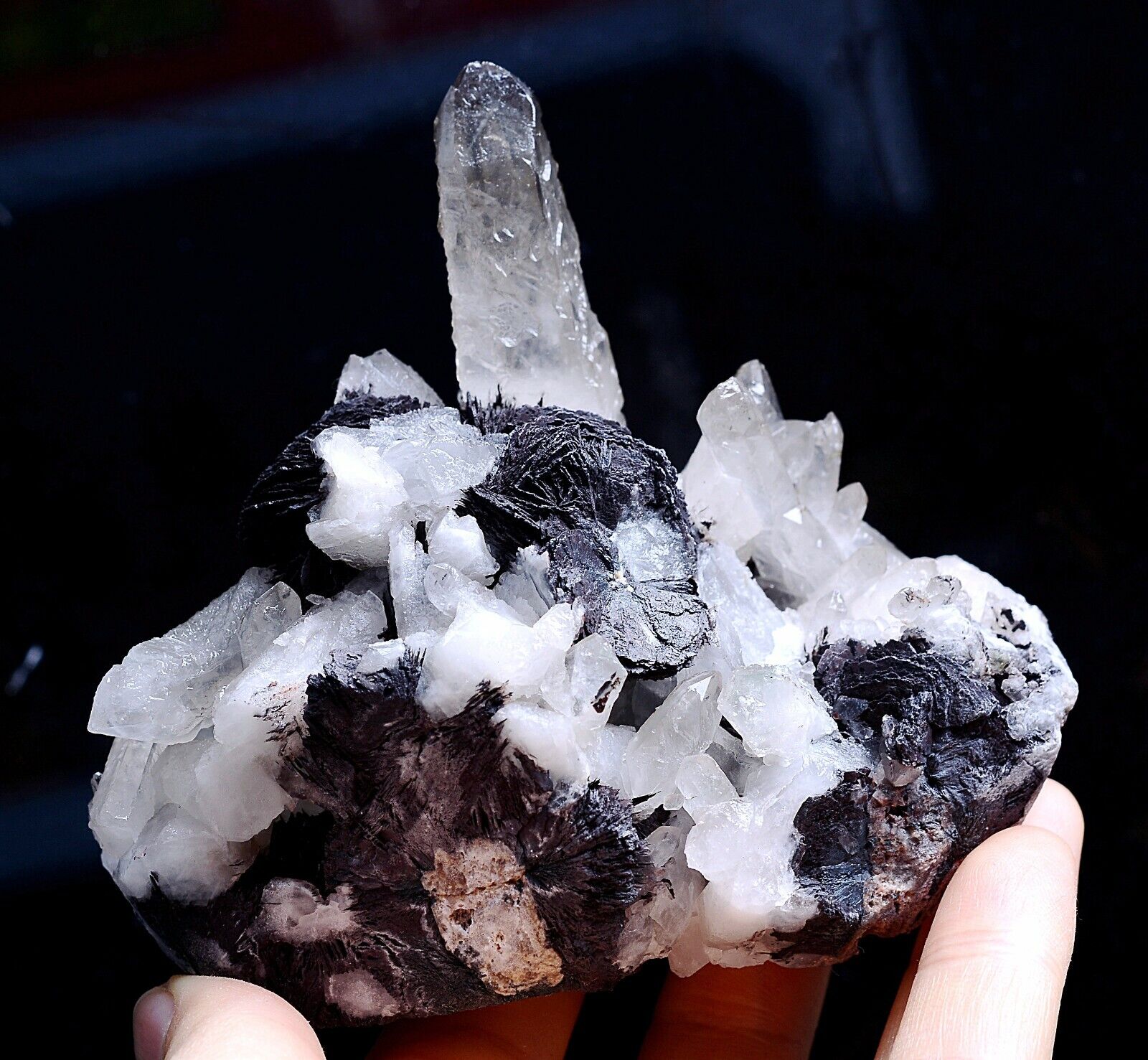 483g Natural White Crystal Cluster & Flower Shape Specularite Mineral  Specimen
