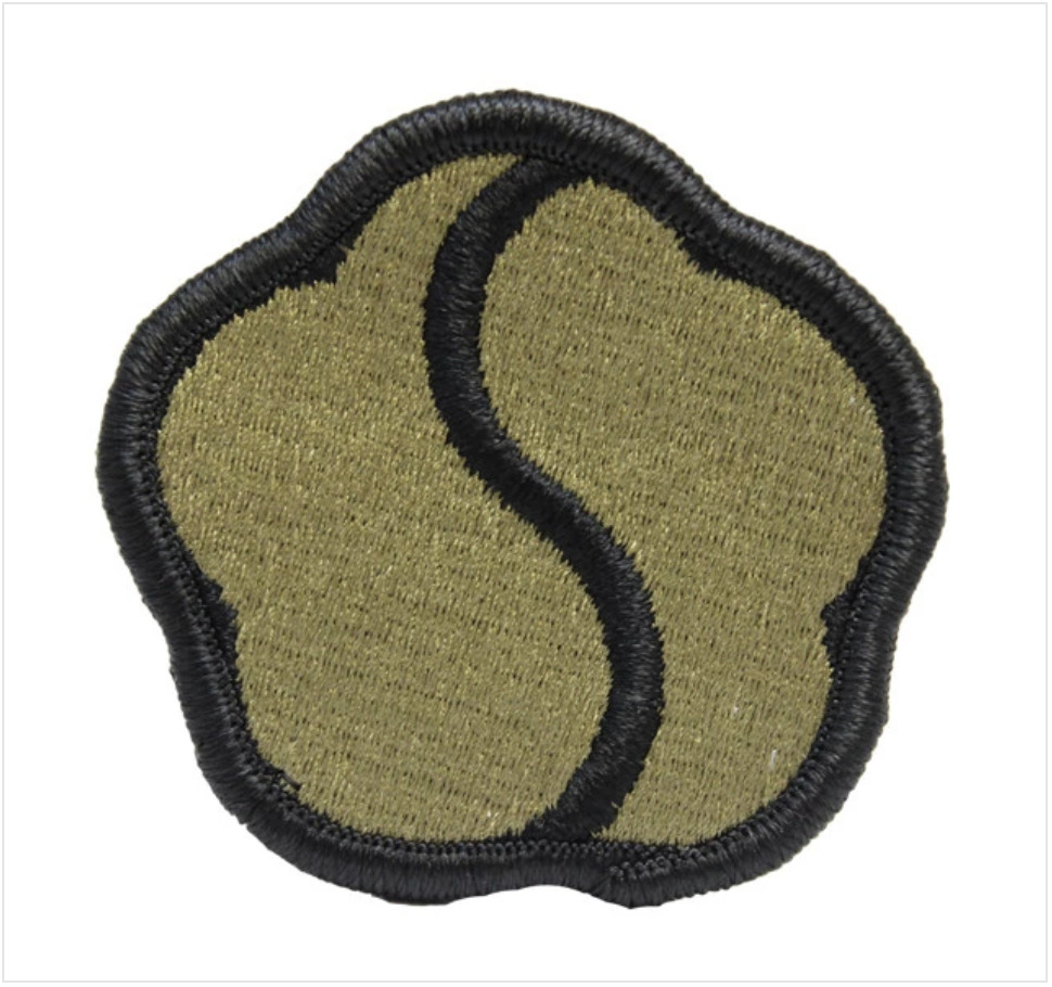 GENUINE U.S. ARMY PATCH: 19TH SUPPORT COMMAND - EMBROIDERED ON OCP - PAIR