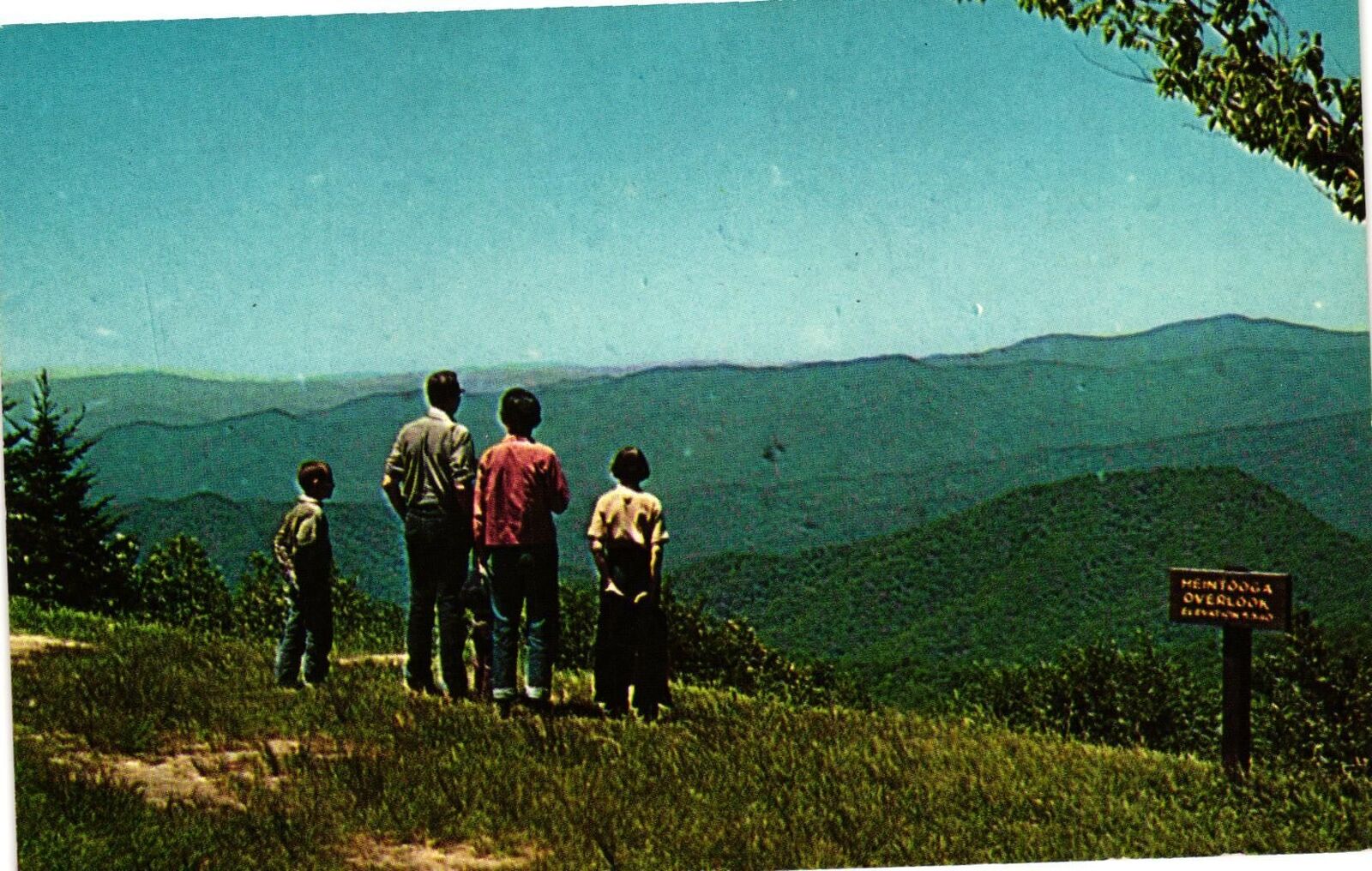 Vintage Postcard- HEINTOOGA OVERLOOK, GREAT SMOKY MOUNTAINS NATIONA PARK, TN.