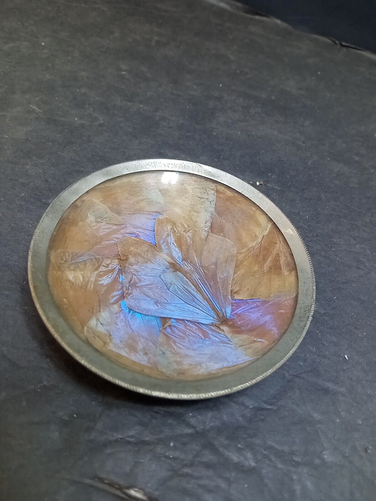 ❤️ Vintage  Iridescent Butterfly Wing Trinket Dish Rare