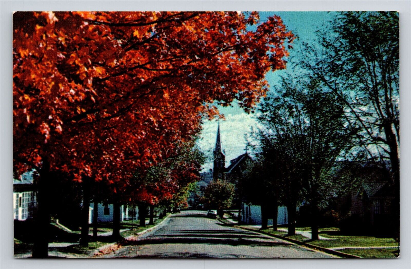 Hermann MO Looking East on W. Fourth Street 4th Fall Leaves Vtg Postcard View