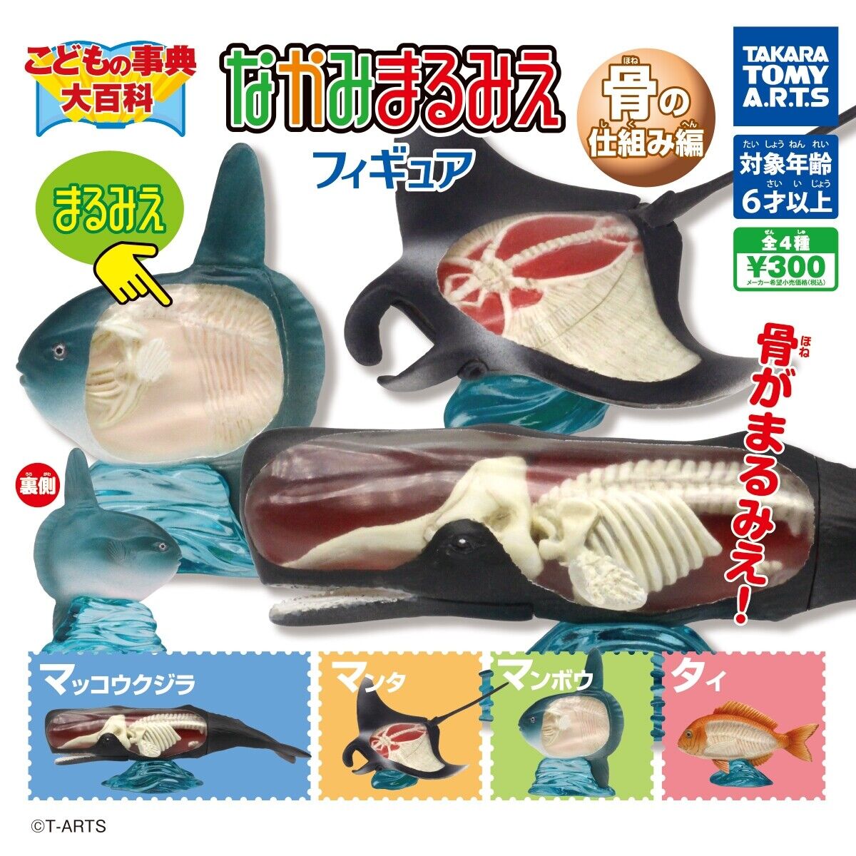 Children\'s Encyclopedia Nakami Marumie Figure Bone Comp 4 Types Set Capsule toy