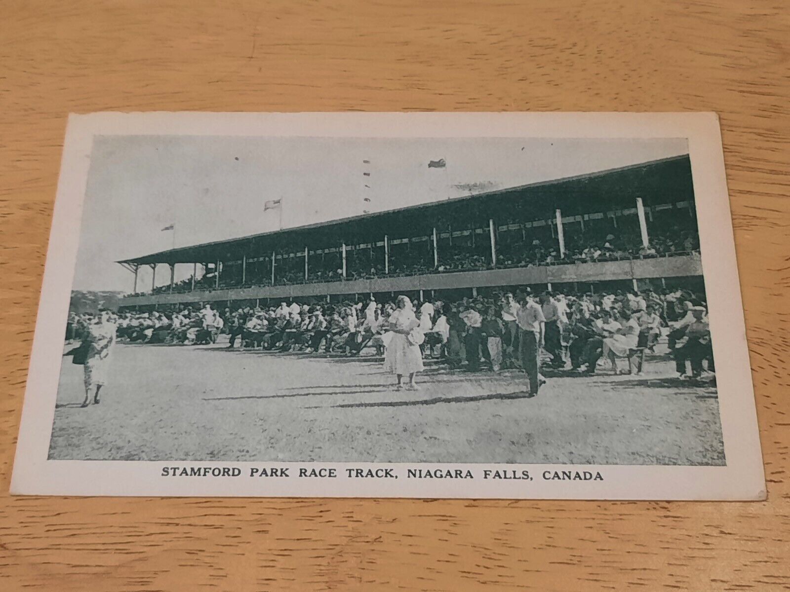 Stamford Park Race Track Niagara Falls Canada 3 Cent Stamp Vintage Postcard