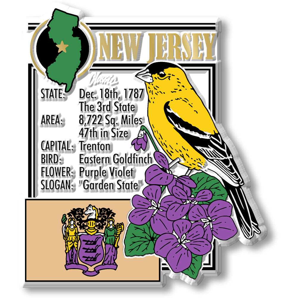 New Jersey State Montage Magnet by Classic Magnets, 3\