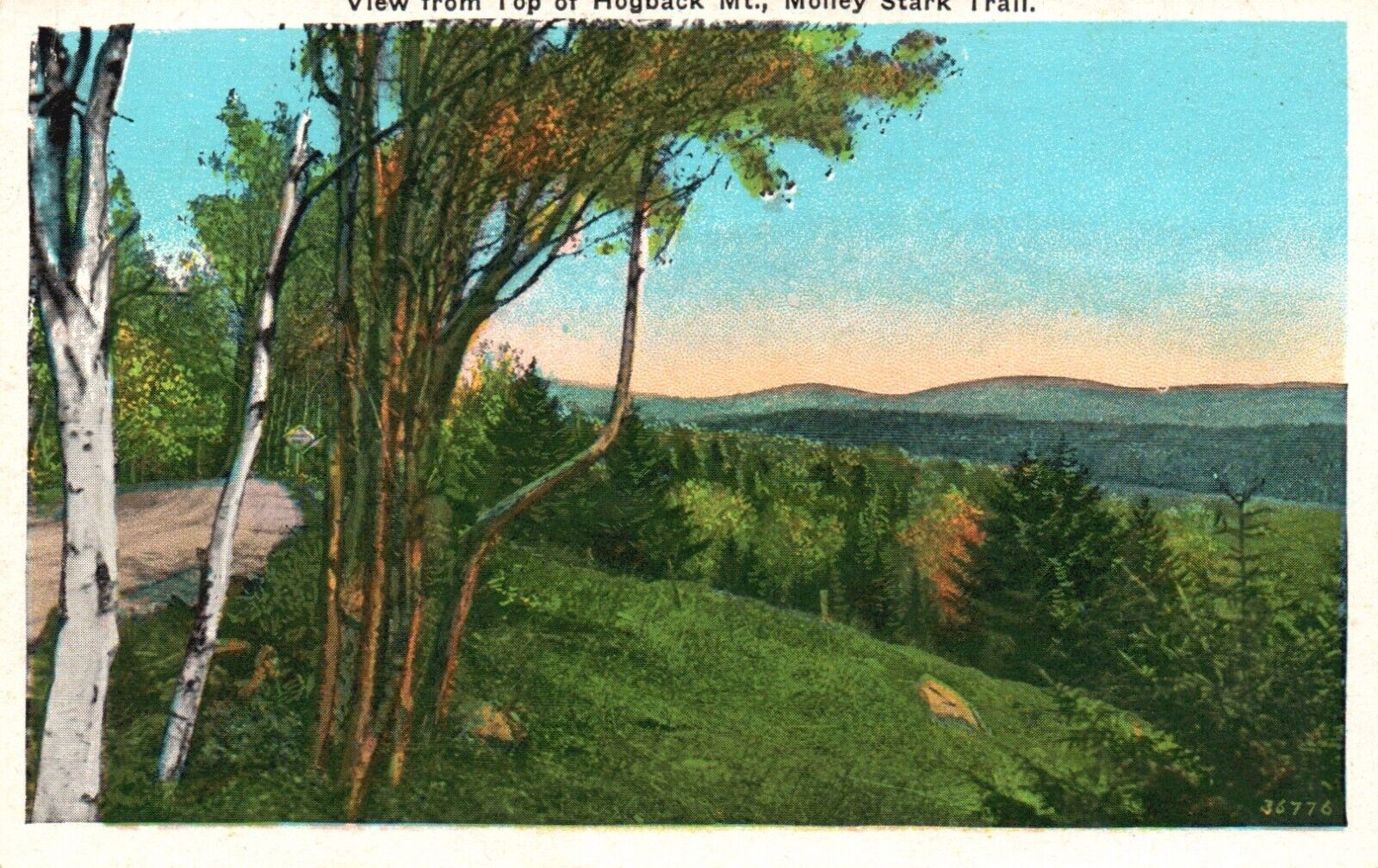 Molley Stark Trail, VT, View from Top of Hogback Mt., Vintage Postcard b6676