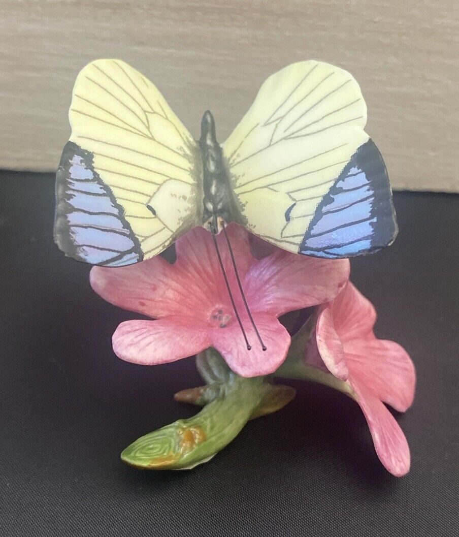 Franklin Mint Butterflies of the World Queen Purple Tip - Wastonia 2”