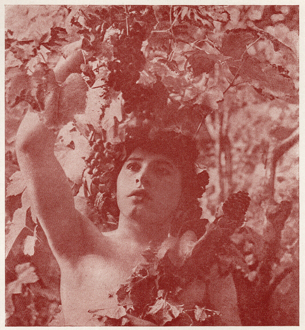 PAUL PICHIER, BACCHANTE, 1905Full Plate Halftone, Austrian Pictorialism